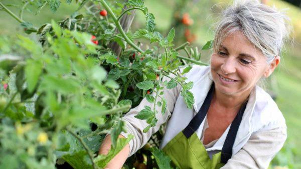 Seniorin bei der Gartenarbeit